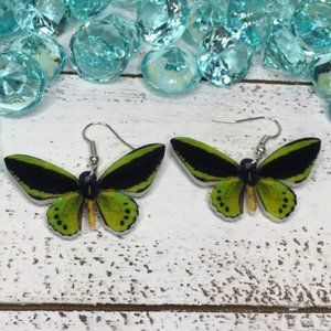 Priamus Green Acrylic Butterfly Earrings